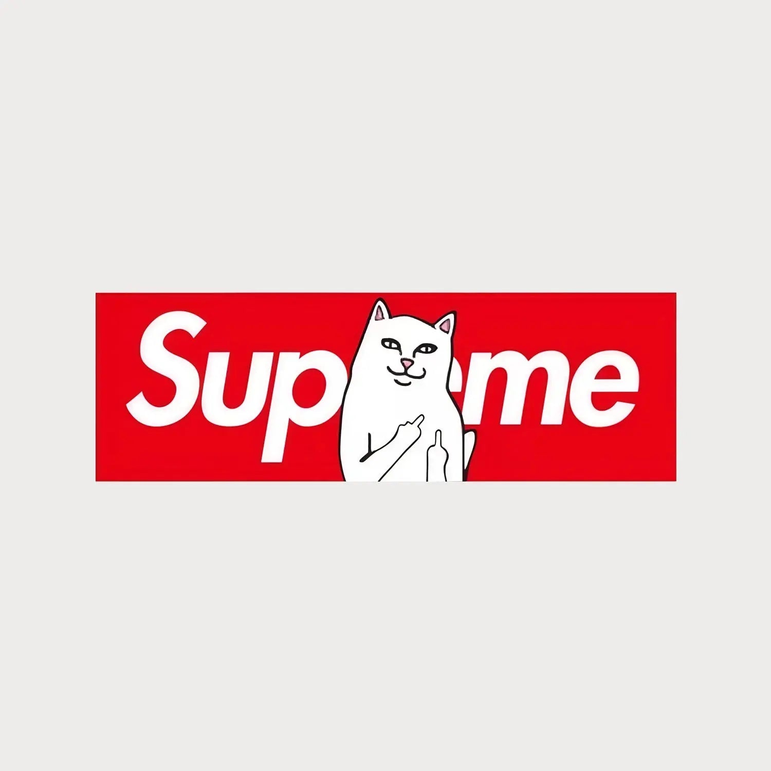 Autocollant Sticker Supreme Ripndip Box Logo Vinyle Waterproof Patchattaq